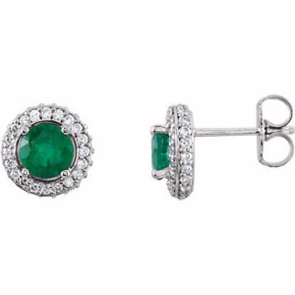 68602:70000:P 14kt White Emerald & 3/8 CTW Diamond Earrings