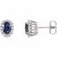 85028:70000:P 14kt White Blue Sapphire & 1/3 CTW Diamond Earrings