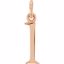 85780:1014:P 14kt Rose "l" Lowercase Initial Pendant