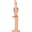 85780:1042:P 14kt Rose "i" Lowercase Initial Pendant