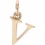 85780:1084:P 14kt Yellow "v" Lowercase Initial Pendant
