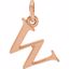 85780:1090:P 14kt Rose "w" Lowercase Initial Pendant