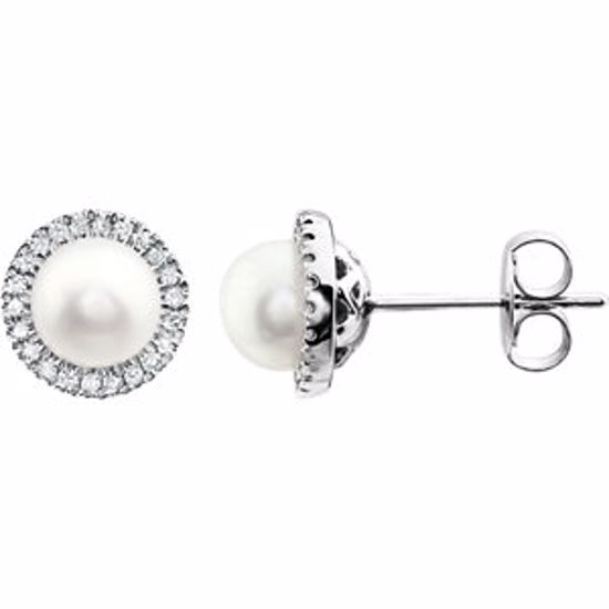 651302:70001:P 14kt White Freshwater Cultured Pearl & 1/8 CTW Diamond Earrings