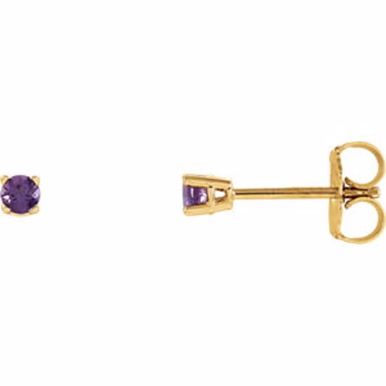 1874:70025:P 14kt Yellow 2.5mm Round Amethyst Earrings