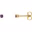 1874:70025:P 14kt Yellow 2.5mm Round Amethyst Earrings