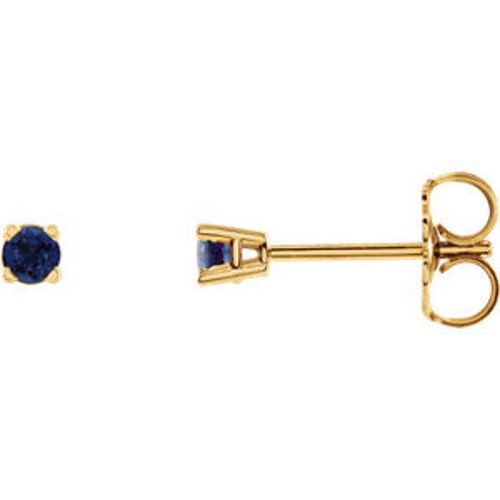 1874:70027:P 14kt Yellow 2.5mm Round Blue Sapphire Earrings