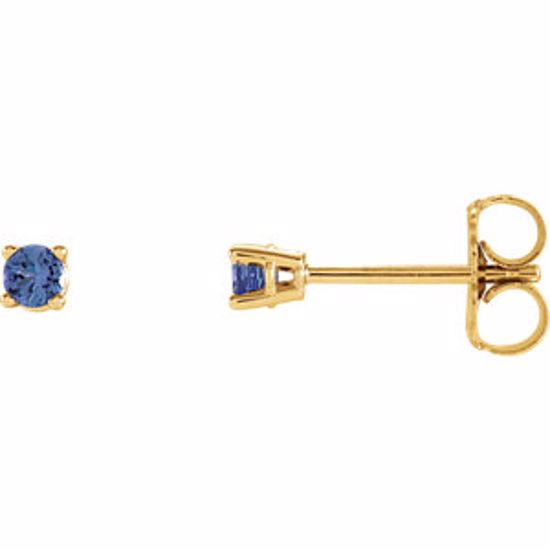 1874:70031:P 14kt Yellow 2.5mm Round Blue Tanzanite Earrings