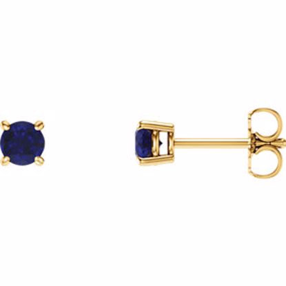 1874:70035:P 14kt Yellow 4mm Round Blue Sapphire Earrings