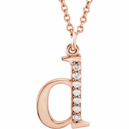 85803:60011:P 14kt Rose .04 CTW Diamond Lowercase Letter "d" Initial 16" Necklace