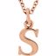 85780:70056:P 14kt Rose "s" Lowercase Initial 16" Necklace
