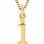 85780:70024:P 14kt Yellow "i" Lowercase Initial 16" Necklace