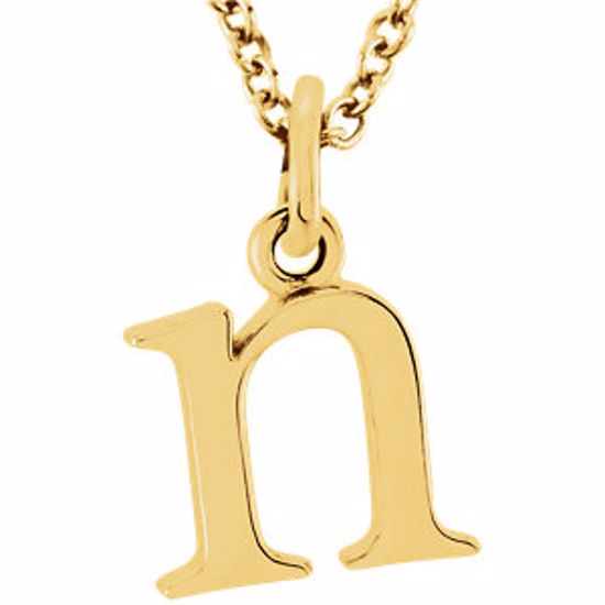 85780:70039:P 14kt Yellow "n" Lowercase Initial 16" Necklace