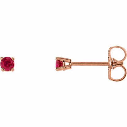 1874:70054:P 14kt Rose 2.5mm Round Ruby Earrings