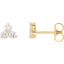 62481:60006:P 14kt Yellow 1/3 CTW Diamond  Three-Stone Earrings With Backs