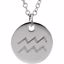 85856:1007:P 14kt White Aquarius Zodiac Necklace