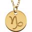 85856:1018:P 14kt Yellow Capricorn Zodiac Necklace