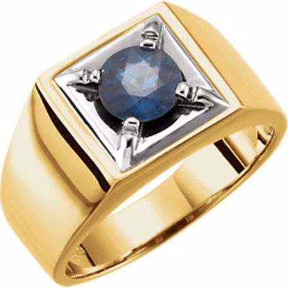 9518:101:P 14kt Two-Tone Blue Sapphire Men's Ring