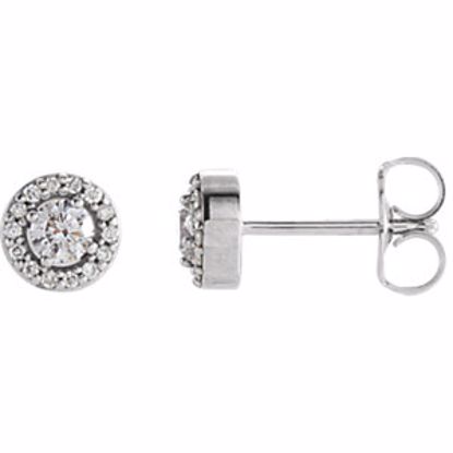 85912:104:P 14kt White 1/4 CTW Diamond Halo-Style Earrings