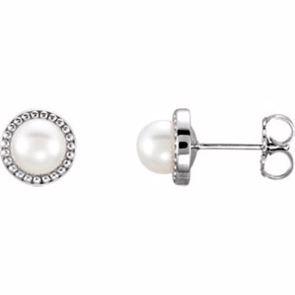 85897:104:P 14kt White 5.5-6mm Freshwater Cultured Pearl Earrings