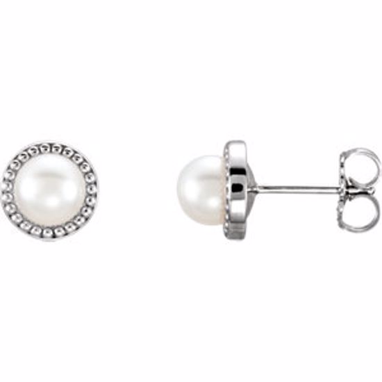 85897:104:P 14kt White 5.5-6mm Freshwater Cultured Pearl Earrings