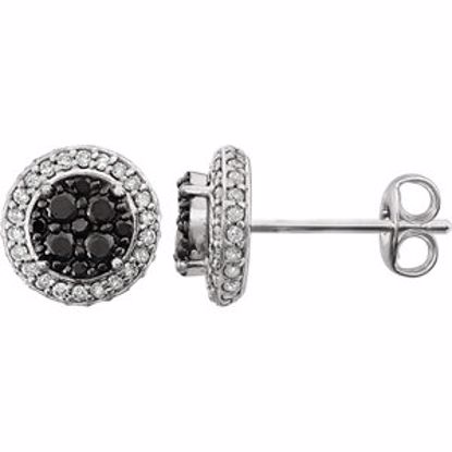 651468:60001:P 14kt White 1/2 CTW Diamond Black & White Halo Earrings