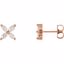 85940:106:P 14kt Rose 5/8 CTW Diamond Earrings