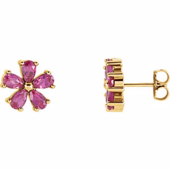 85942:104:P 14kt Yellow Chatham® Created Pink Sapphire Earrings