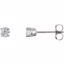 1874:70090:P Platinum 1/3 CTW Diamond Earrings