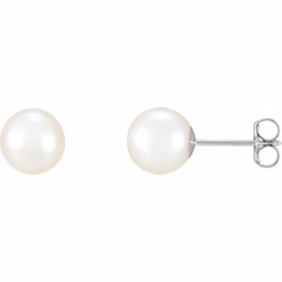 1608:104:P 14kt White 7-7.5mm Freshwater Cultured Pearl Earrings