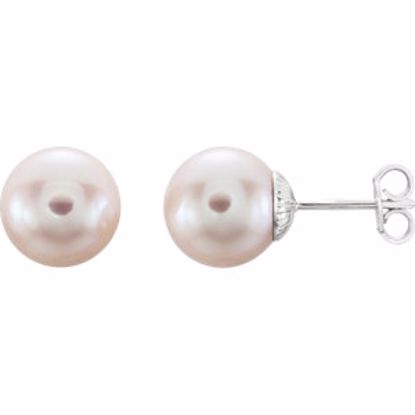 21372:108:P Sterling Silver 9.5-10mm Freshwater Cultured Pearl Earrings