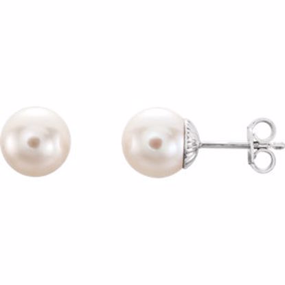 21372:106:P Sterling Silver 8-8.5mm Freshwater Cultured Pearl Earrings