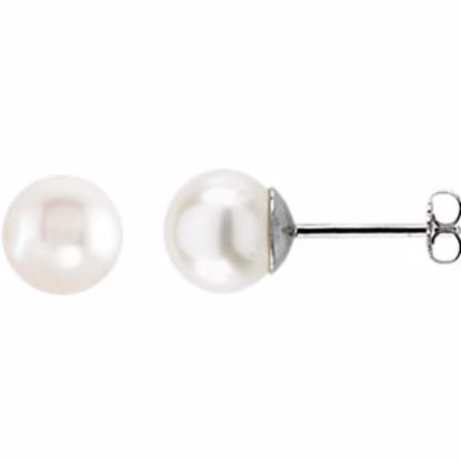 1614:100:P 14kt White 8-8.5mm Freshwater Pearl Earrings