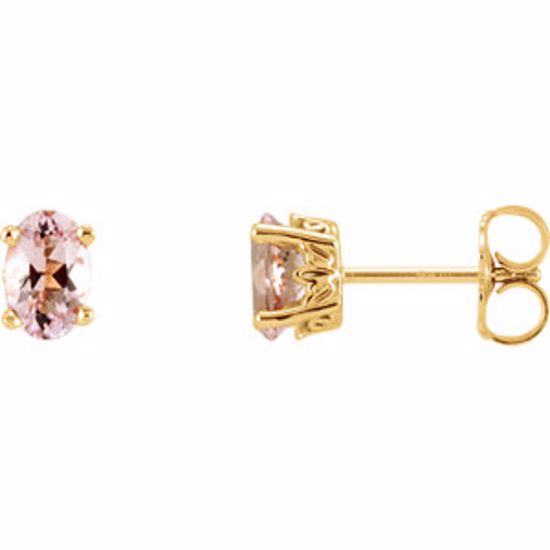 1920:130:P 14kt Yellow Morganite Earrings