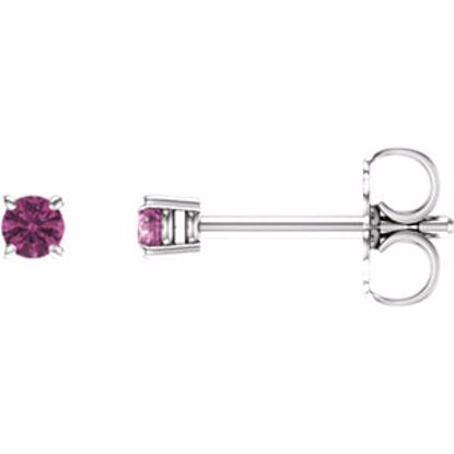 1874:70096:P 14kt White 2.5mm Round Pink Tourmaline Earrings