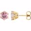 28808:70003:P 14kt Yellow 6mm Baby Pink Topaz Round Earrings