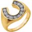 651623:60000:P 14kt Two-Tone 1/4 CTW Diamond Men's Ring
