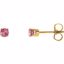 651643:70021:P 14kt Yellow Pink Tourmaline Youth Earrings