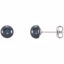 651659:116:P Sterling Silver 5-6mm Black Freshwater Cultured Pearl Earrings