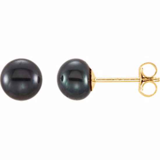 651659:102:P 14kt Yellow 5-6mm Black Freshwater Cultured Pearl Earrings