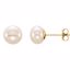 651659:104:P 14kt Yellow 6-7mm White Freshwater Cultured Pearl Earrings