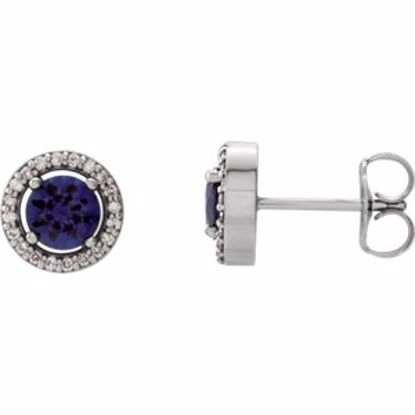 86069:109:P 14kt White Blue Sapphire & 1/10 CTW Diamond Earrings