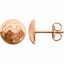 86081:1001:P 14kt Yellow Hammered Disk Earrings