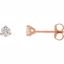 66233:60089:P 14kt Rose 1/3 CTW Diamond Stud Earrings