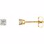 1874:60053:P 14kt Yellow 1/4 CTW Diamond Earrings