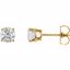 1874:60065:P 14kt Yellow 1 CTW Diamond Earrings