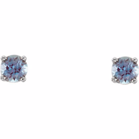 651643:70041:P Sterling Silver Imitation Alexandrite Youth Earrings