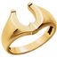 51422:1000:P 14kt Yellow Men's Horseshoe Ring