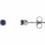 651643:70050:P Sterling Silver Imitation Blue Sapphire Youth Earrings