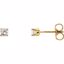 651643:70062:P 14kt Yellow 1/5 CTW Diamond Youth Earrings