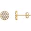 651754:60001:P 14kt Yellow 1/3 CTW Diamond Cluster Earrings